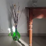 Apartament Casa Midori *